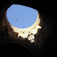 Le ali della gioia