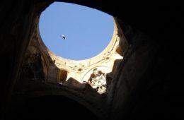 Le ali della gioia