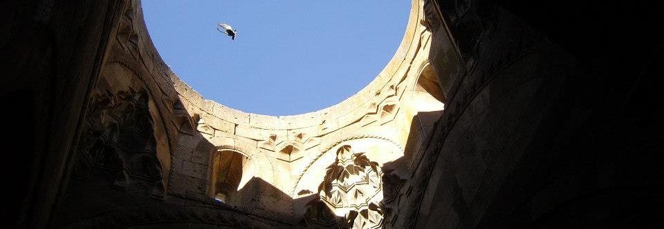 Le ali della gioia